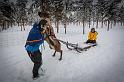 18 Kiruna, rendier